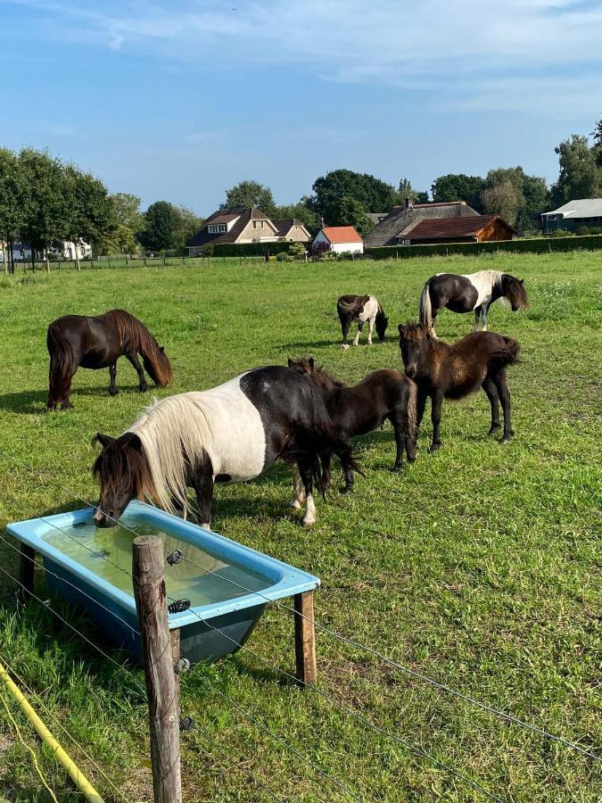 La Vita Veluwe Wapenveld Exteriér fotografie