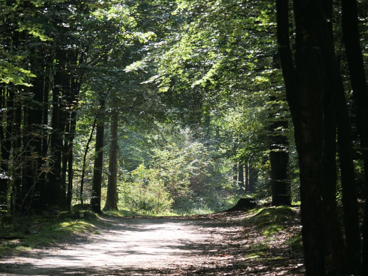 La Vita Veluwe Wapenveld Exteriér fotografie